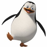 pingvin4iki